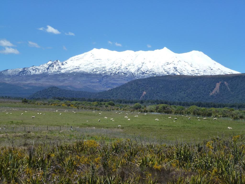 Manowhenua Lodge National Park Eksteriør bilde